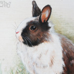 malowany królik